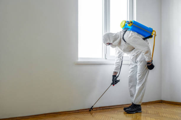 Best Pest Control for Multi-Family Homes  in Scottville, MI